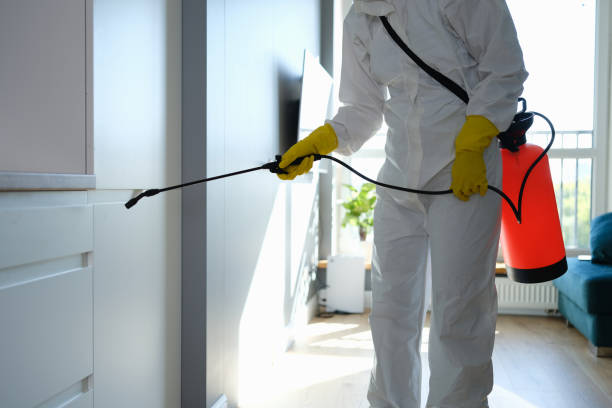 Office Mold Removal Services in Vienna Bend, LA