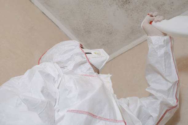 Trusted Vienna Bend, LA Mold Removal Experts